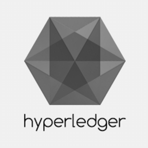 Hyperledger - FinTech project that dares for more