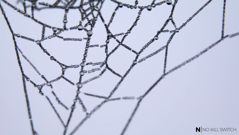 How (badly) broken is the web?