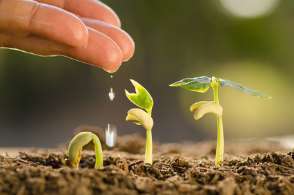 Growing your team organically